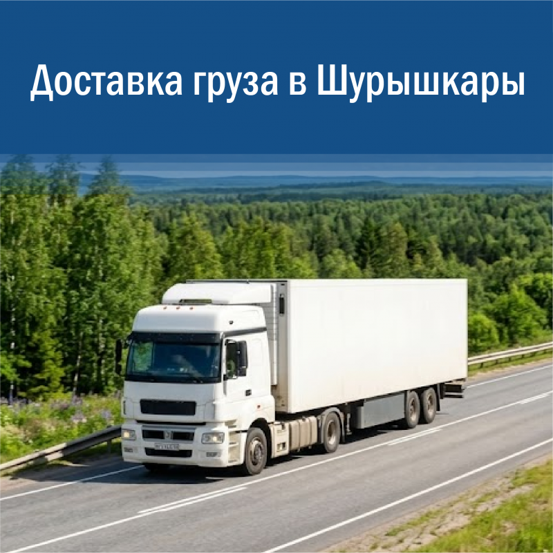Доставка грузов в Шурышкары для бизнеса: надежные перевозки в ЯНАО без срывов сроков